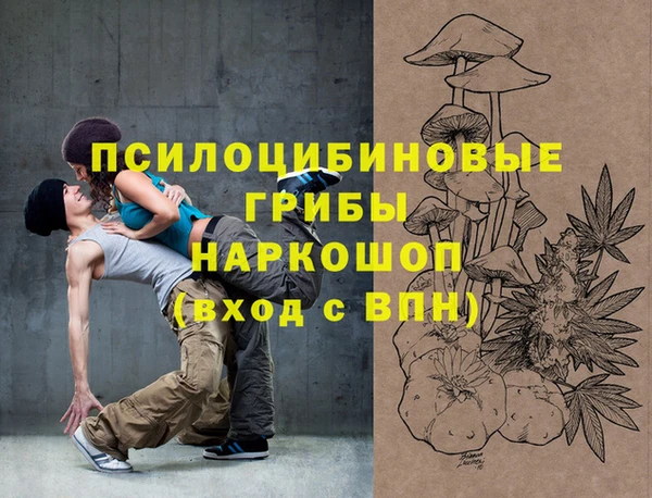 гидра Алзамай