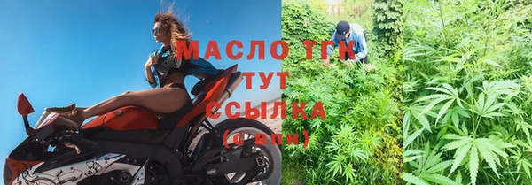 гидра Алзамай