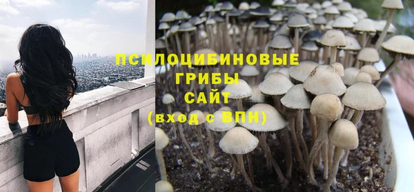 Альфа ПВП Россошь